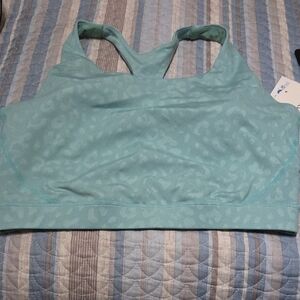 Women's Blue Sports Bra